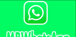 MBWhatsApp iOS: Can I Download?